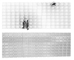 informatic simulation